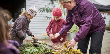 Blomsterne undersøges