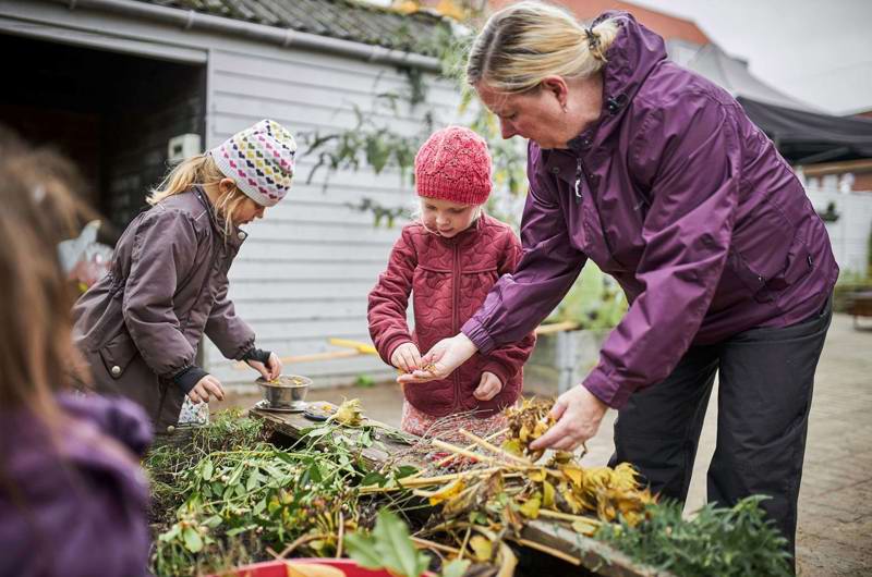 Blomsterne undersøges